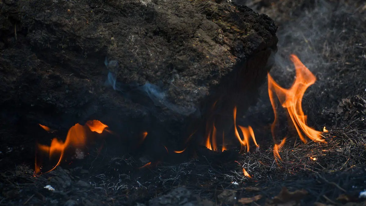 973831_Combaten incendios en el Edoméx -6.jpg _web